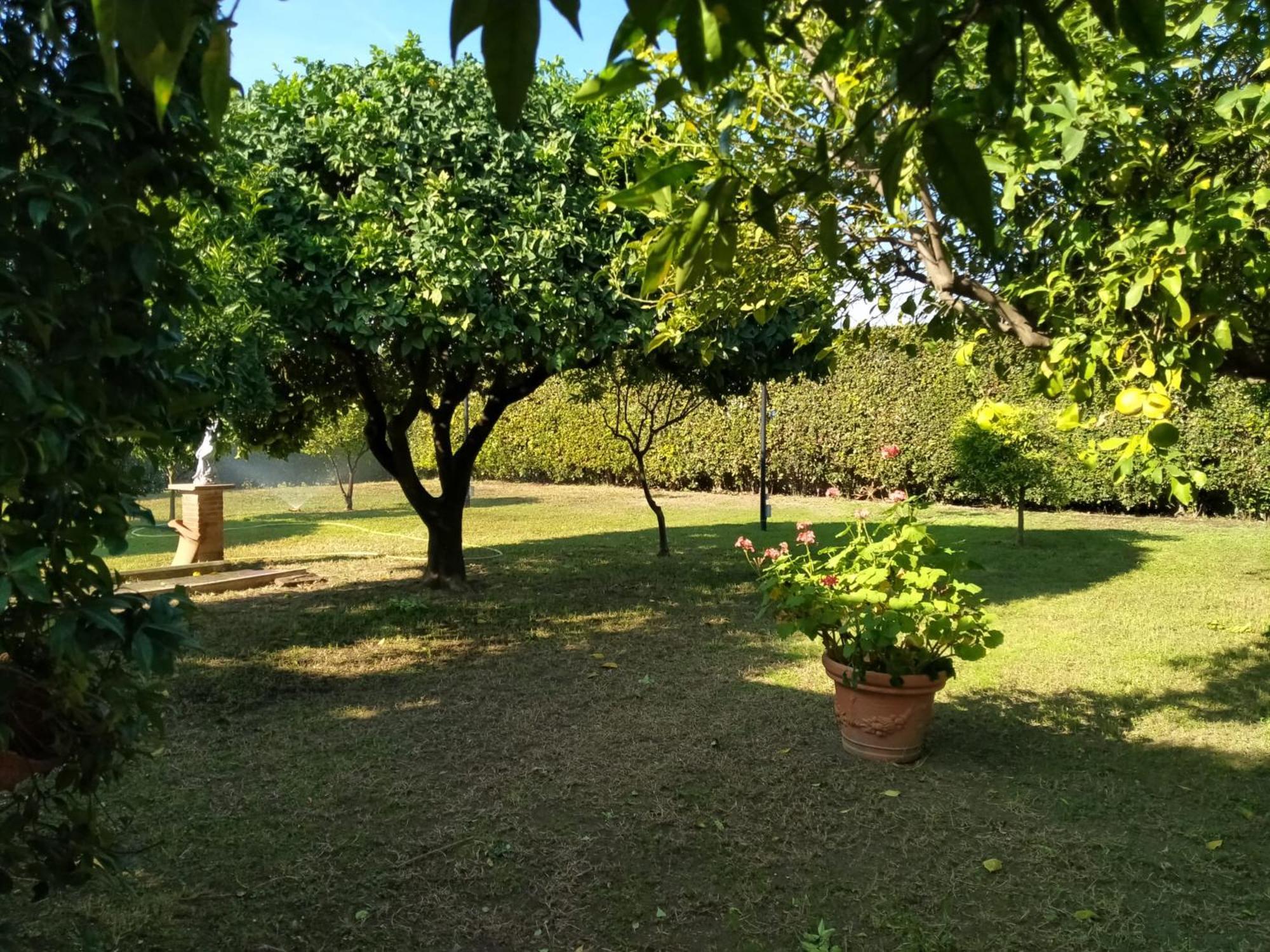Da Ninnilla Holiday Home Scafati Buitenkant foto