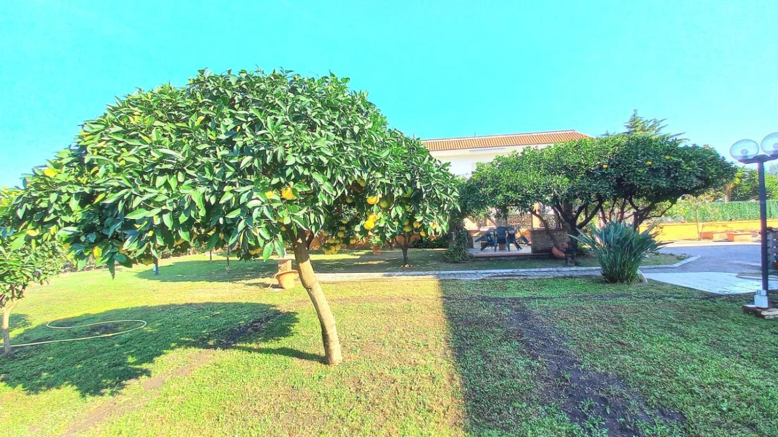 Da Ninnilla Holiday Home Scafati Buitenkant foto